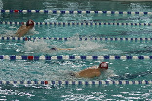 米兰体育官方网址入口-世界短池游泳锦标赛多项世界纪录诞生，第一届世界短池游泳锦标赛